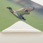 Couverture Sherpa DUCK en vol (3/4)