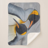 Couverture Sherpa Duo Manchot Royal (Devant)