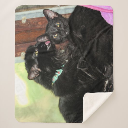 Couverture Sherpa Durée du bain (Devant)