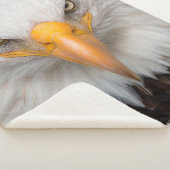 Couverture Sherpa Eagle Closeup (3/4)