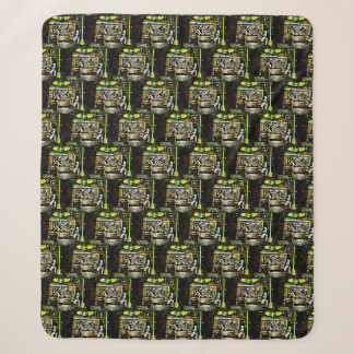 Couverture Sherpa Éblouissant