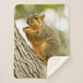 Couverture Sherpa Écureuil adorable (Devant)