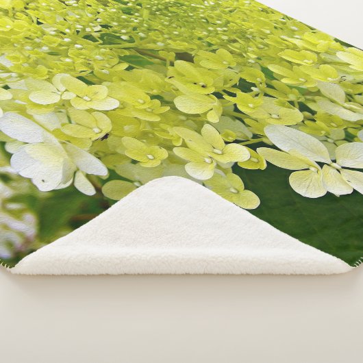 Couverture Sherpa Élégante Chartreuse Vert Limelight Hydrangea (3/4)