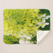 Couverture Sherpa Élégante Chartreuse Vert Limelight Hydrangea (Devant (Horizontal))
