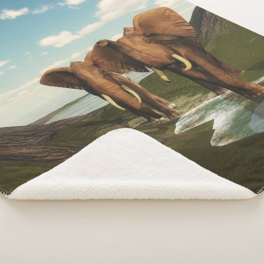 Couverture Sherpa Eléphant (3/4)