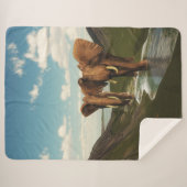 Couverture Sherpa Eléphant (Devant (Horizontal))