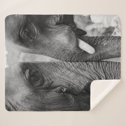 COUVERTURE SHERPA ELEPHANT COUPLE (Devant (Horizontal))