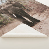 COUVERTURE SHERPA ÉLÉPHANT NOIR MARCHANT SUR SABLE BROWN (3/4)