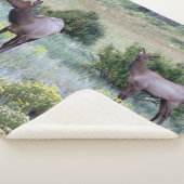 Couverture Sherpa Elk américain | Colorado (3/4)