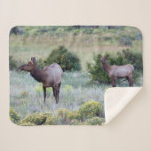 Couverture Sherpa Elk américain | Colorado (Devant (Horizontal))