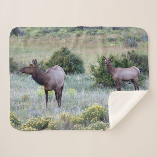 Couverture Sherpa Elk américain | Colorado (Devant (Horizontal))