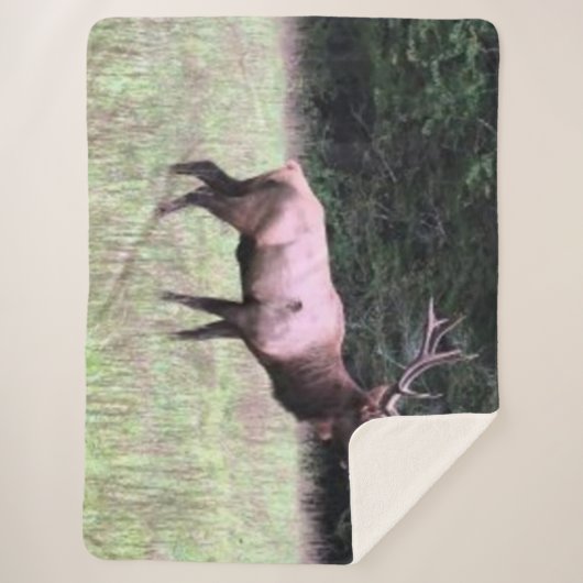 COUVERTURE SHERPA ELK MAJESTIQUE (Devant)