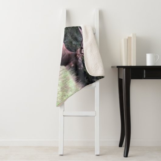 COUVERTURE SHERPA ELK MAJESTIQUE (En situation)