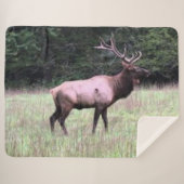 COUVERTURE SHERPA ELK MAJESTIQUE (Devant (Horizontal))