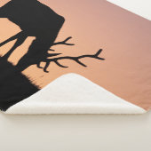 Couverture Sherpa Elk | Parc national des Rocheuses, Colorado (3/4)