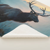 Couverture Sherpa Elk sur une crête à Dawn (3/4)
