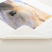 Couverture Sherpa Ember (3/4)