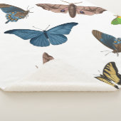 Couverture Sherpa empreinte halloween déplaisant moth (3/4)