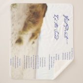 Couverture Sherpa empreintes dans le sable (Devant)