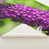 Couverture Sherpa énergie de la sauterelle (3/4)