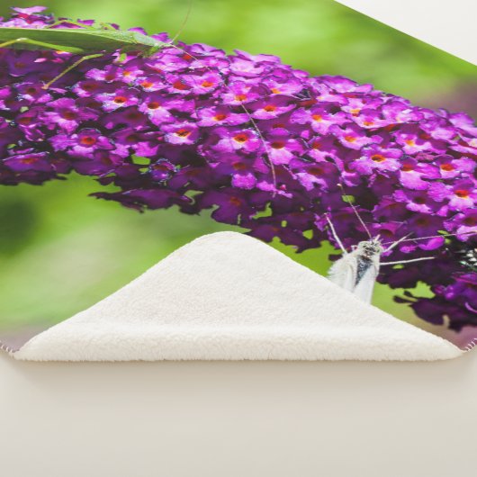 Couverture Sherpa énergie katydone (3/4)