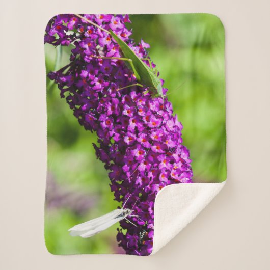 Couverture Sherpa énergie katydone (Devant)