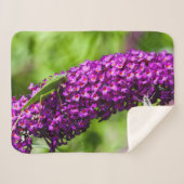 Couverture Sherpa énergie katydone (Devant (Horizontal))