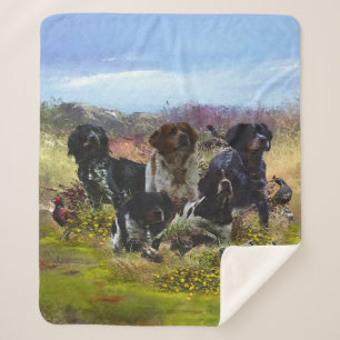 Couverture Sherpa Épagneuls bretons,   chasse aux oiseaux   