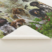 Couverture Sherpa Épagneuls bretons, chasse aux oiseaux      (3/4)