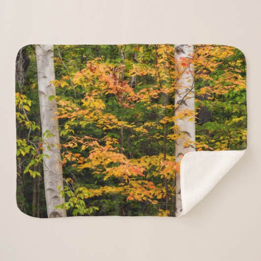 Couverture Sherpa Érable et bouleau | White Mountains, NH (Devant (Horizontal))
