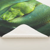 COUVERTURE SHERPA ESNAKE VERT (3/4)