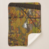 Couverture Sherpa Étang d'automne avec cygne (Devant)