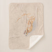 Couverture Sherpa Étude d'un renard croustillant (par John Frederick (Devant)