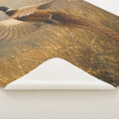 Couverture Sherpa Faisan en vol doré (3/4)