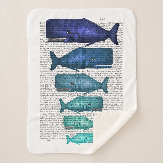 Couverture Sherpa Famille de baleines bleues (Devant)