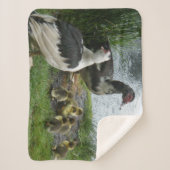 Couverture Sherpa Famille de canard de Muscovy (Devant)