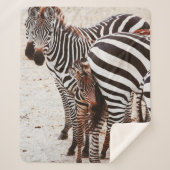 COUVERTURE SHERPA FAMILLE ZEBRA (Devant)