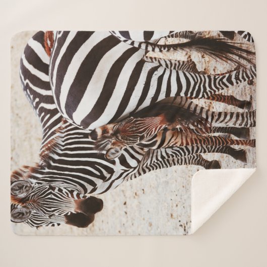 COUVERTURE SHERPA FAMILLE ZEBRA (Devant (Horizontal))
