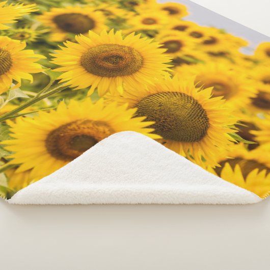 Couverture Sherpa Farms | A Sunflower (3/4)