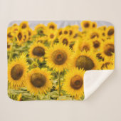 Couverture Sherpa Farms | A Sunflower (Devant (Horizontal))