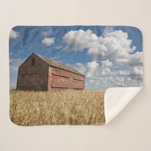 Couverture Sherpa Farms | Old Red Barn in Wheat Field (Devant (Horizontal))