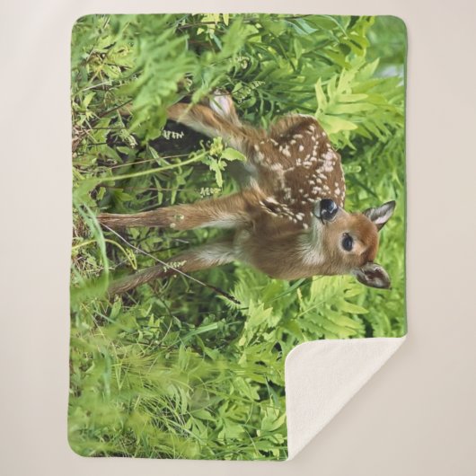 COUVERTURE SHERPA FAUNE (Devant)