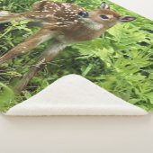 COUVERTURE SHERPA FAUNE (3/4)