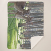 COUVERTURE SHERPA FAWNS (Devant)
