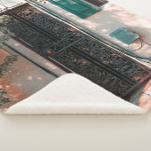 COUVERTURE SHERPA FERMER PORTE DE SÉCURITÉ EN FER FORGÉ VERT (3/4)