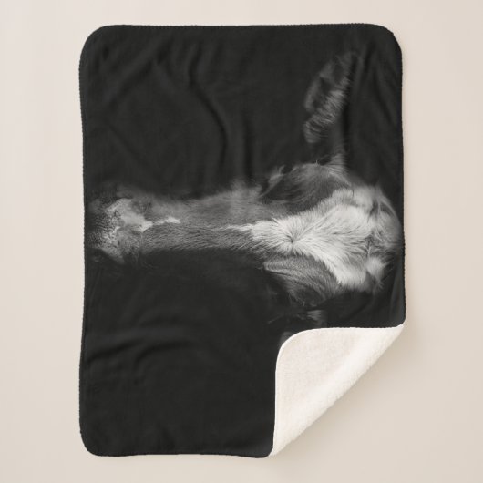 Couverture Sherpa Fermes | Tête de vache B&W (Devant)