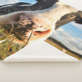 Couverture Sherpa Fermes | Vache Holstein Chewing (3/4)