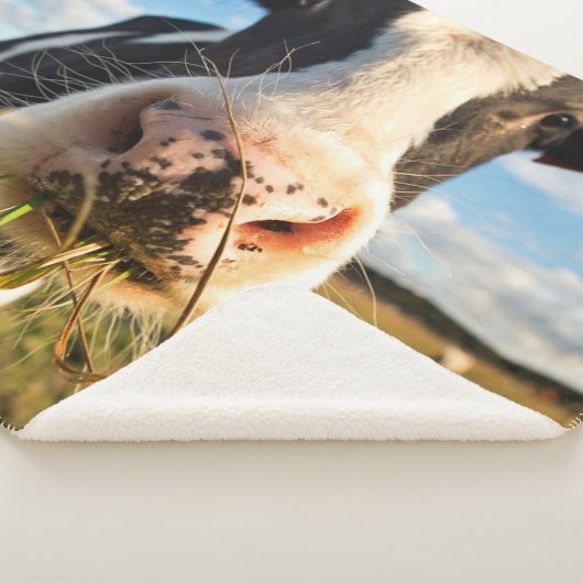 Couverture Sherpa Fermes | Vache Holstein Chewing (3/4)