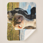 Couverture Sherpa Fermes | Vache Holstein Chewing (Devant)