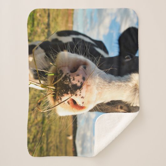 Couverture Sherpa Fermes | Vache Holstein Chewing (Devant)